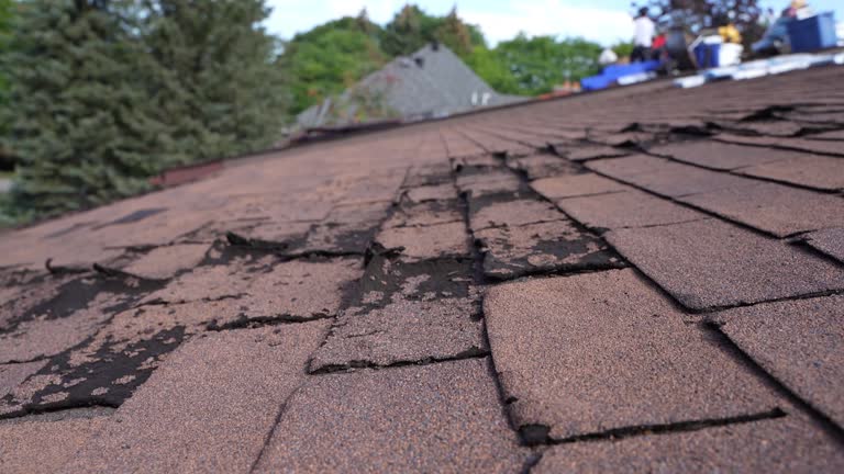 Best Metal Roofing Installation  in Erda, UT